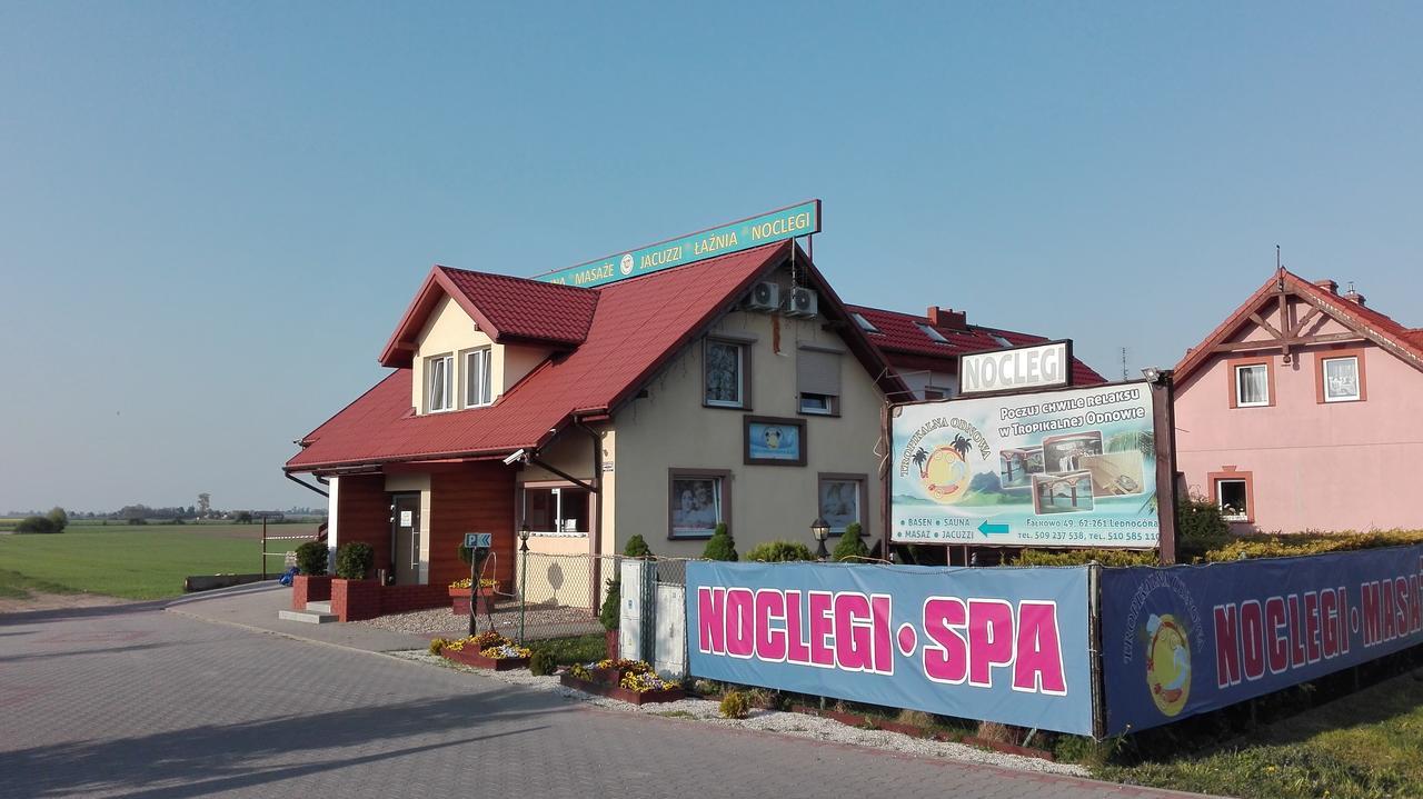 FalkowoTropikalna Odnowa住宿加早餐旅馆 外观 照片